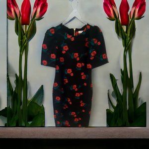 Calvin Klein Beautiful Floral Embroidery Black Dress Size 4